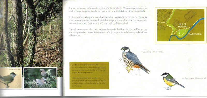 Observatorio de aves de Santander